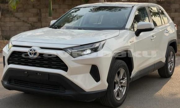 Buy Used Toyota RAV4 White Car in Baki in Abseron Buy Used Toyota RAV4 White Car in Baki in Abseron