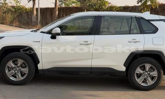 Buy Used Toyota RAV4 White Car in Baki in Abseron Buy Used Toyota RAV4 White Car in Baki in Abseron