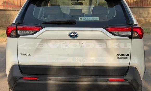 Buy Used Toyota RAV4 White Car in Baki in Abseron Buy Used Toyota RAV4 White Car in Baki in Abseron