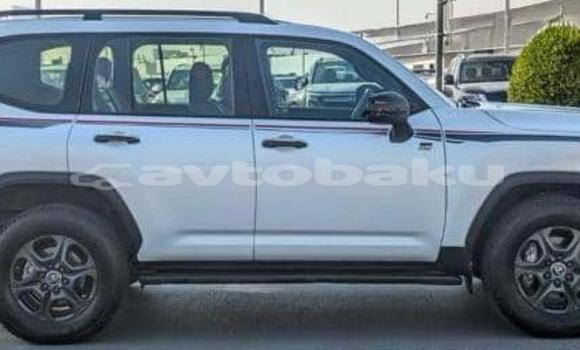 Buy Used Toyota Land Cruiser White Car in Baki in Abseron Buy Used Toyota Land Cruiser White Car in Baki in Abseron