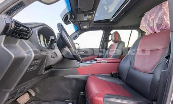 Buy Used Toyota Land Cruiser White Car in Baki in Abseron Buy Used Toyota Land Cruiser White Car in Baki in Abseron