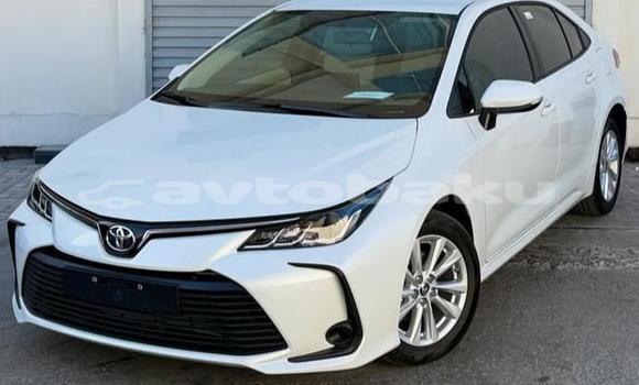 Buy Used Toyota Corolla White Car in Baki in Abseron