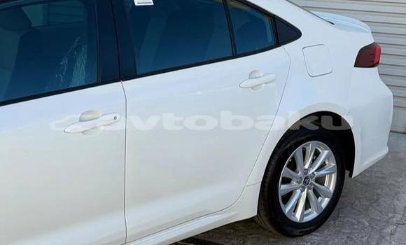 Buy Used Toyota Corolla White Car in Baki in Abseron Buy Used Toyota Corolla White Car in Baki in Abseron