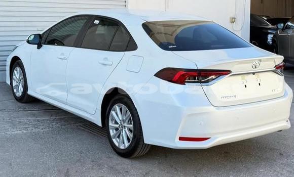 Buy Used Toyota Corolla White Car in Baki in Abseron Buy Used Toyota Corolla White Car in Baki in Abseron