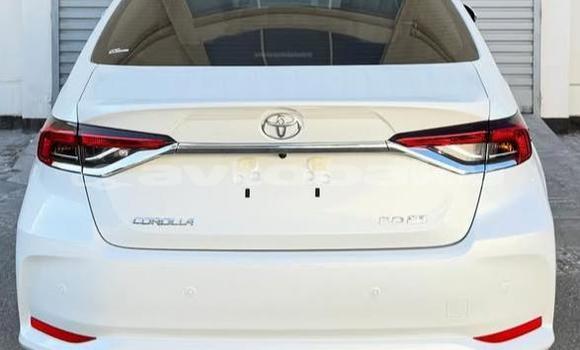 Buy Used Toyota Corolla White Car in Baki in Abseron Buy Used Toyota Corolla White Car in Baki in Abseron