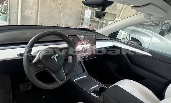 Buy Used Tesla Model X White Car in Baki in Abseron Buy Used Tesla Model X White Car in Baki in Abseron