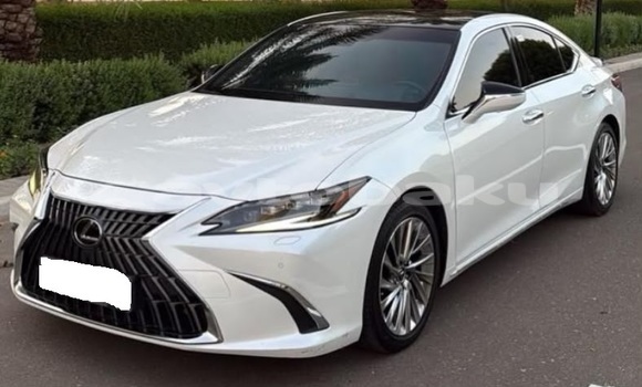 Buy Used Lexus ES White Car in Baki in Abseron