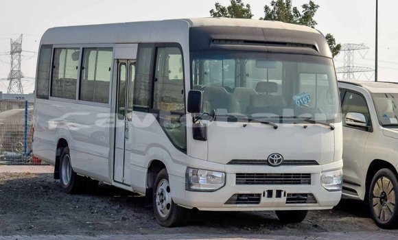 Buy Import Toyota Coaster White Car in Import - Dubai in Abseron Buy Import Toyota Coaster White Car in Import - Dubai in Abseron