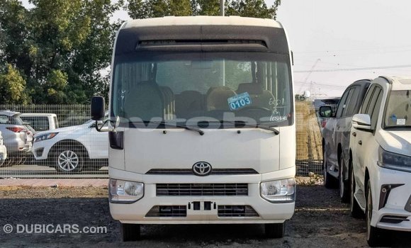 Buy Import Toyota Coaster White Car in Import - Dubai in Abseron Buy Import Toyota Coaster White Car in Import - Dubai in Abseron