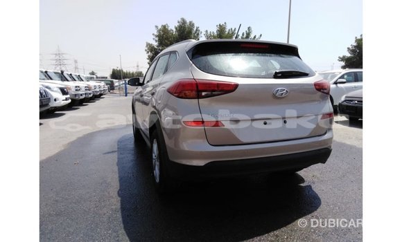 Buy Import Kia Sportage Black Car in Import - Dubai in Abseron Buy Import Kia Sportage Black Car in Import - Dubai in Abseron