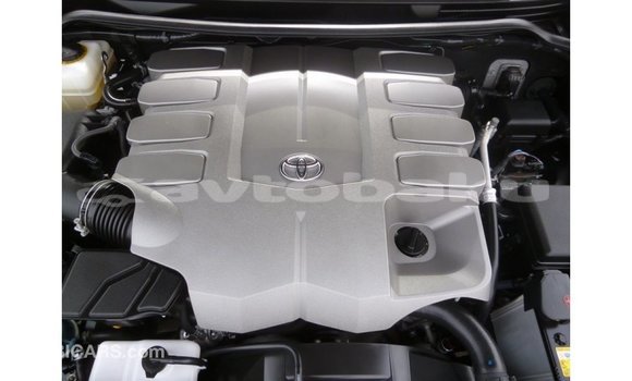 Buy Import Toyota Land Cruiser Black Car in Import - Dubai in Abseron Buy Import Toyota Land Cruiser Black Car in Import - Dubai in Abseron