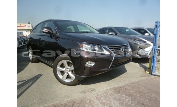 Buy Import Lexus RX Brown Car in Import - Dubai in Abseron Buy Import Lexus RX Brown Car in Import - Dubai in Abseron