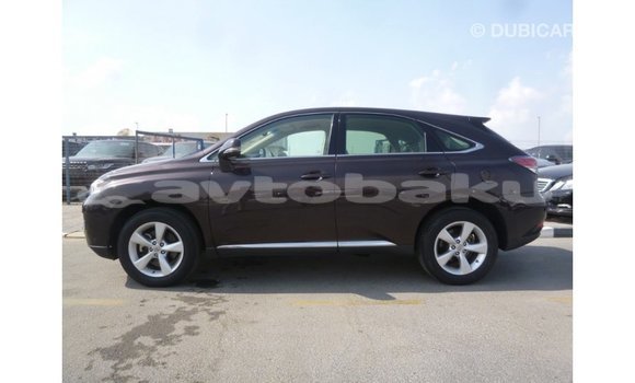 Buy Import Lexus RX Brown Car in Import - Dubai in Abseron Buy Import Lexus RX Brown Car in Import - Dubai in Abseron