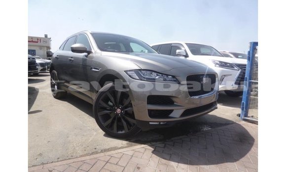 Buy Import Jaguar F-Pace Other Car in Import - Dubai in Abseron
