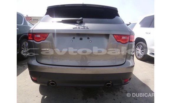 Buy Import Jaguar F-Pace Other Car in Import - Dubai in Abseron Buy Import Jaguar F-Pace Other Car in Import - Dubai in Abseron
