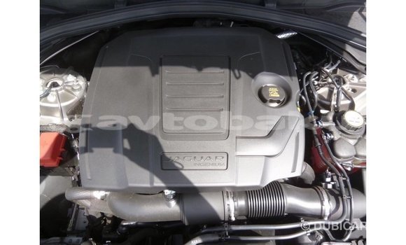 Buy Import Jaguar F-Pace Other Car in Import - Dubai in Abseron Buy Import Jaguar F-Pace Other Car in Import - Dubai in Abseron