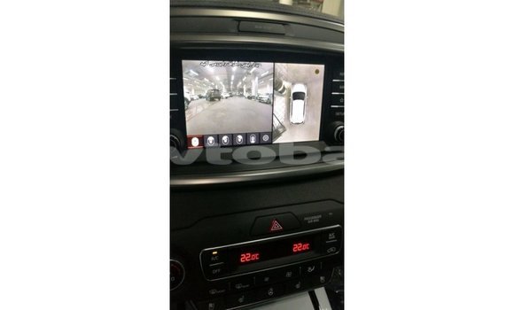 Buy Import Kia Sorento Brown Car in Import - Dubai in Abseron Buy Import Kia Sorento Brown Car in Import - Dubai in Abseron