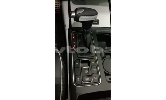 Buy Import Kia Sorento Brown Car in Import - Dubai in Abseron Buy Import Kia Sorento Brown Car in Import - Dubai in Abseron