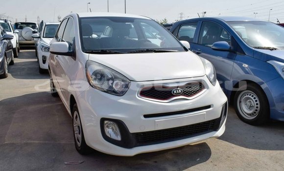 Buy Import Kia Picanto White Car in Import - Dubai in Abseron