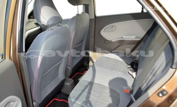 Buy Import Kia Picanto Brown Car in Import - Dubai in Abseron Buy Import Kia Picanto Brown Car in Import - Dubai in Abseron