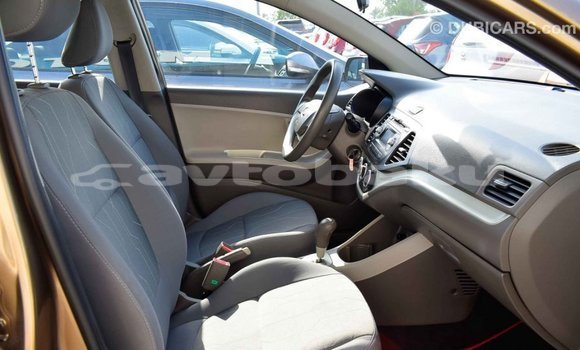 Buy Import Kia Picanto Brown Car in Import - Dubai in Abseron Buy Import Kia Picanto Brown Car in Import - Dubai in Abseron