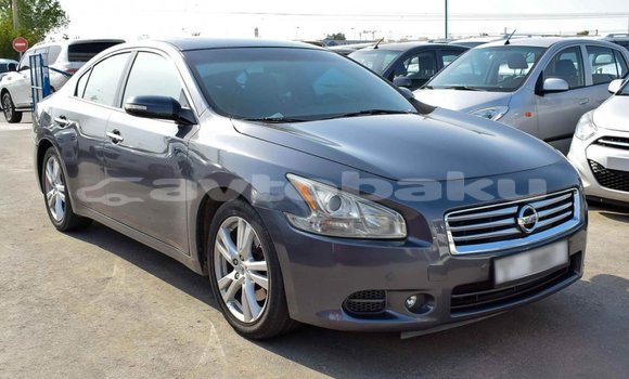 Buy Import Nissan Maxima Other Car in Import - Dubai in Abseron Buy Import Nissan Maxima Other Car in Import - Dubai in Abseron
