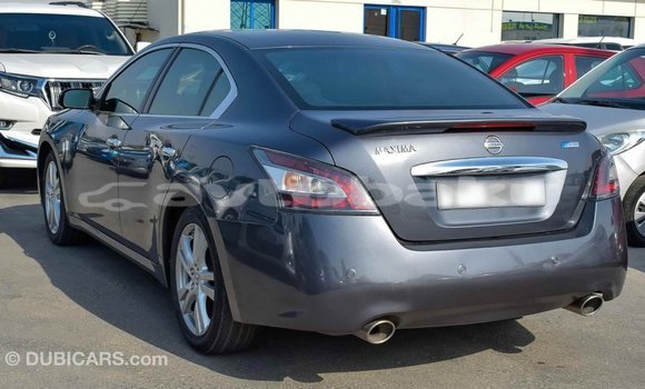 Buy Import Nissan Maxima Other Car in Import - Dubai in Abseron Buy Import Nissan Maxima Other Car in Import - Dubai in Abseron
