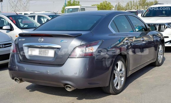 Buy Import Nissan Maxima Other Car in Import - Dubai in Abseron Buy Import Nissan Maxima Other Car in Import - Dubai in Abseron