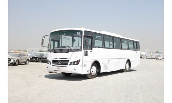 Buy Import Tata Xenon White Car in Import - Dubai in Abseron