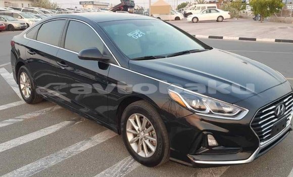 Buy Import Hyundai Sonata Black Car in Import - Dubai in Abseron Buy Import Hyundai Sonata Black Car in Import - Dubai in Abseron