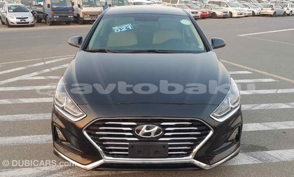 Buy Import Hyundai Sonata Black Car in Import - Dubai in Abseron Buy Import Hyundai Sonata Black Car in Import - Dubai in Abseron
