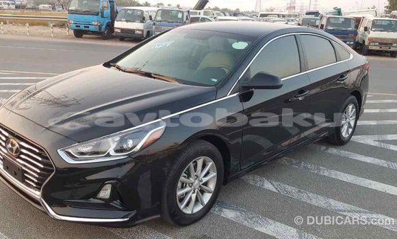 Buy Import Hyundai Sonata Black Car in Import - Dubai in Abseron Buy Import Hyundai Sonata Black Car in Import - Dubai in Abseron
