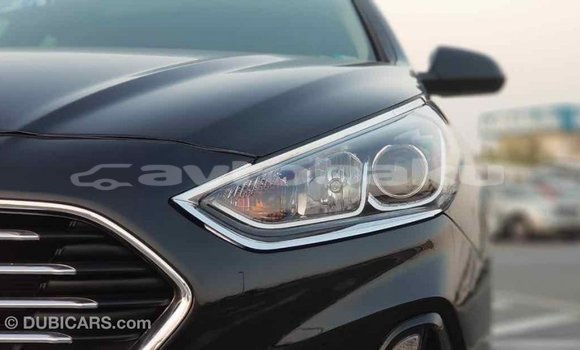 Buy Import Hyundai Sonata Black Car in Import - Dubai in Abseron Buy Import Hyundai Sonata Black Car in Import - Dubai in Abseron