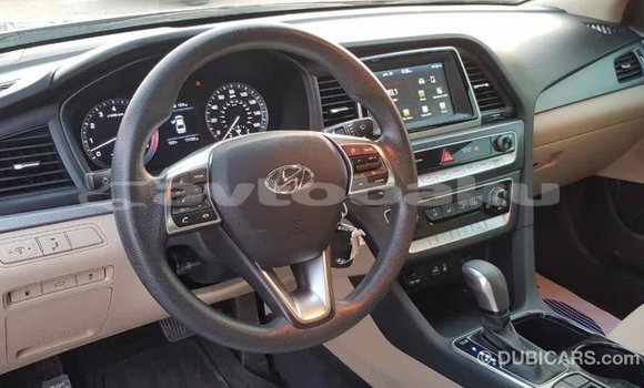 Buy Import Hyundai Sonata Black Car in Import - Dubai in Abseron Buy Import Hyundai Sonata Black Car in Import - Dubai in Abseron