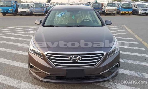 Buy Import Hyundai Sonata Brown Car in Import - Dubai in Abseron Buy Import Hyundai Sonata Brown Car in Import - Dubai in Abseron