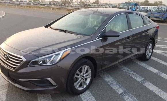 Buy Import Hyundai Sonata Brown Car in Import - Dubai in Abseron Buy Import Hyundai Sonata Brown Car in Import - Dubai in Abseron