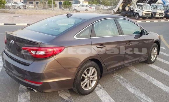 Buy Import Hyundai Sonata Brown Car in Import - Dubai in Abseron Buy Import Hyundai Sonata Brown Car in Import - Dubai in Abseron