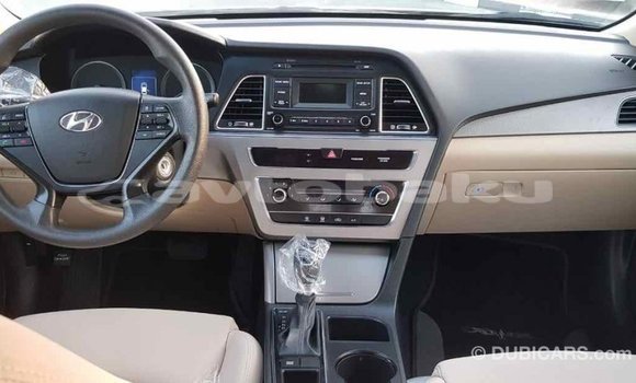 Buy Import Hyundai Sonata Brown Car in Import - Dubai in Abseron Buy Import Hyundai Sonata Brown Car in Import - Dubai in Abseron