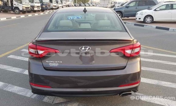 Buy Import Hyundai Sonata Brown Car in Import - Dubai in Abseron Buy Import Hyundai Sonata Brown Car in Import - Dubai in Abseron