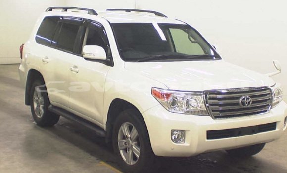Buy Import Toyota Land Cruiser White Car in Import - Dubai in Abseron Buy Import Toyota Land Cruiser White Car in Import - Dubai in Abseron