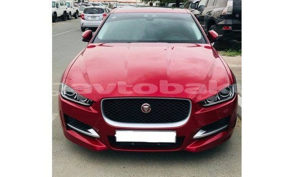 Buy Import Jaguar XE Red Car in Import - Dubai in Abseron