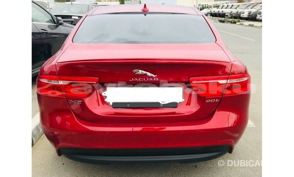 Buy Import Jaguar XE Red Car in Import - Dubai in Abseron Buy Import Jaguar XE Red Car in Import - Dubai in Abseron