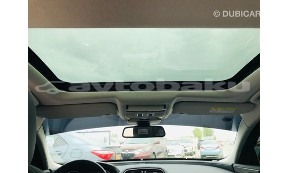 Buy Import Jaguar XE Red Car in Import - Dubai in Abseron Buy Import Jaguar XE Red Car in Import - Dubai in Abseron