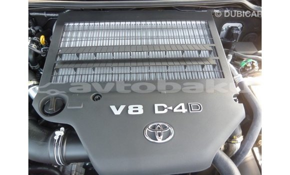 Buy Import Toyota Land Cruiser Black Car in Import - Dubai in Abseron Buy Import Toyota Land Cruiser Black Car in Import - Dubai in Abseron