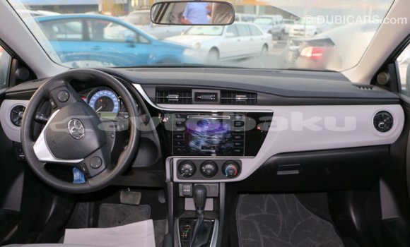 Buy Import Toyota Corolla Black Car in Import - Dubai in Abseron Buy Import Toyota Corolla Black Car in Import - Dubai in Abseron